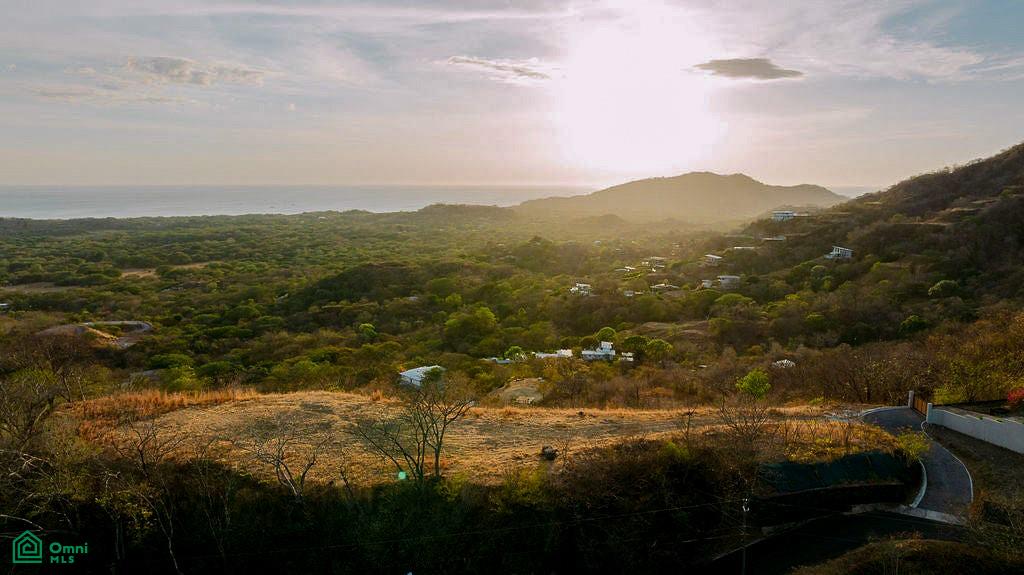Tamarindo photo 5
