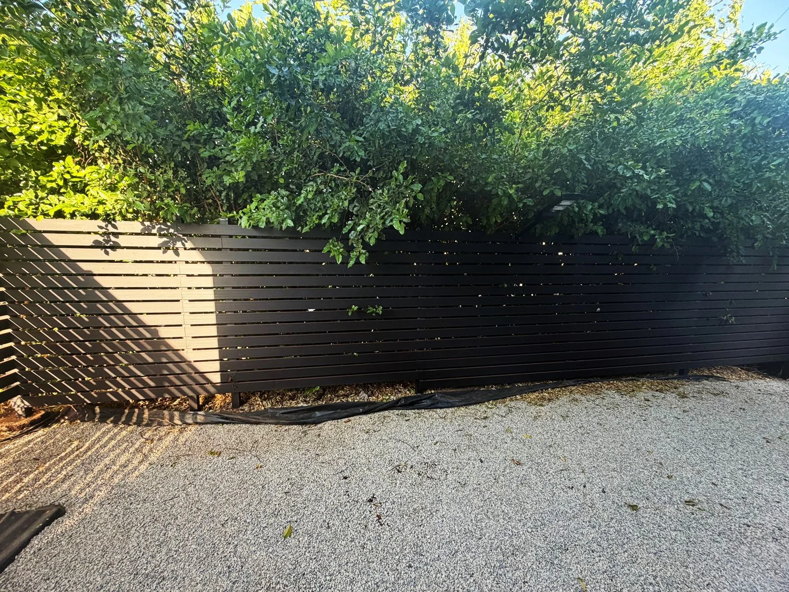 Casa 73 – Elegant Long-Term Rental in Loma Verde, Santa Rosa photo 26