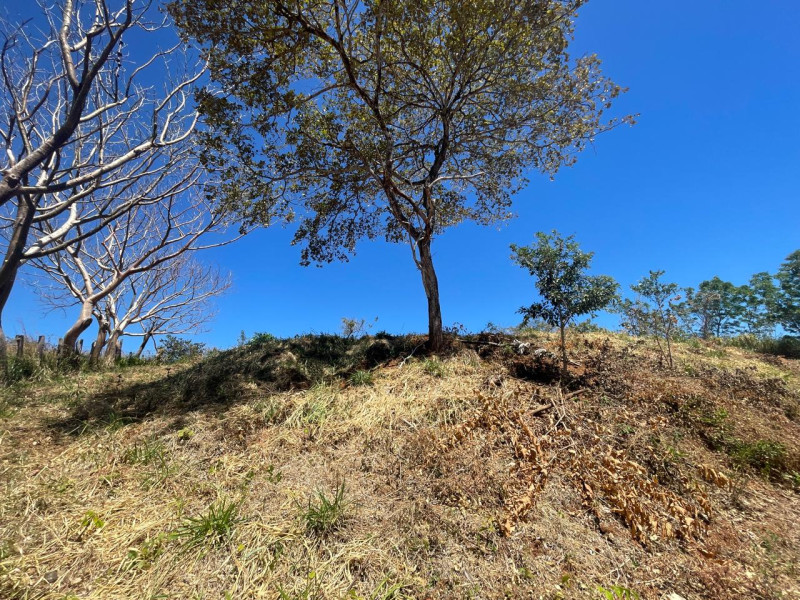 Discover Your Tranquil Haven Lot in La Florida Santa Cruz Guanacaste $75,000 photo 18