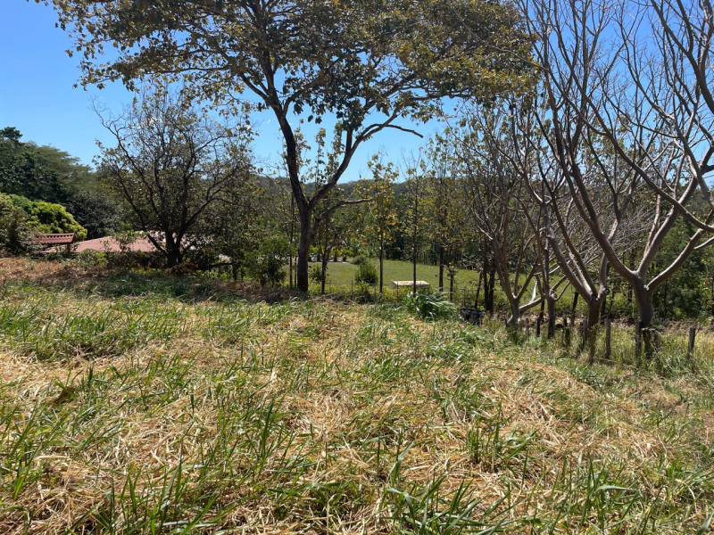 Discover Your Tranquil Haven Lot in La Florida Santa Cruz Guanacaste $75,000 photo 14