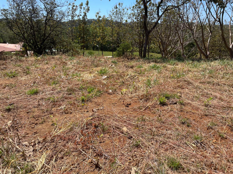 Discover Your Tranquil Haven Lot in La Florida Santa Cruz Guanacaste $75,000 photo 7