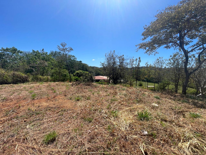 Discover Your Tranquil Haven Lot in La Florida Santa Cruz Guanacaste $75,000 photo 12