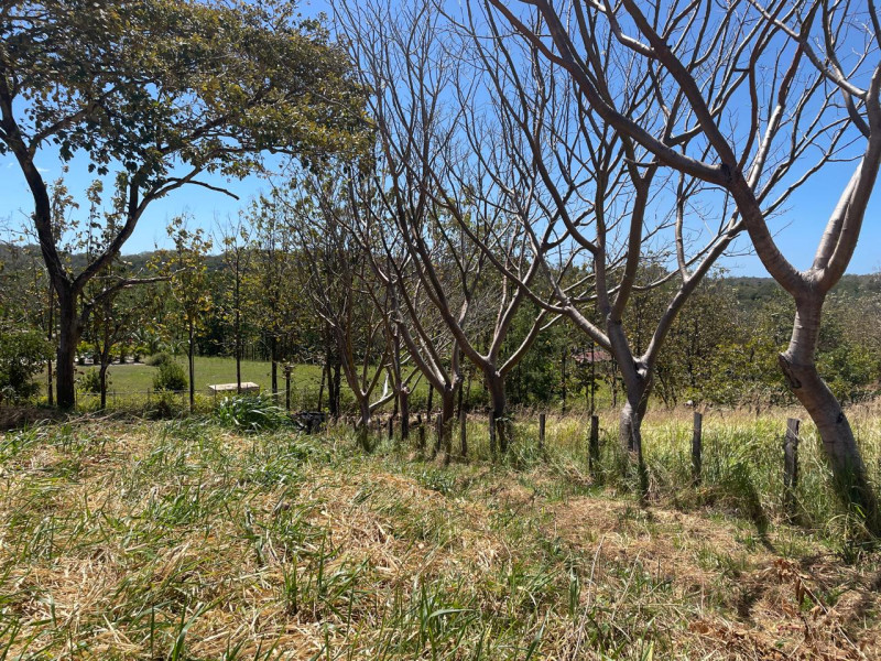 Discover Your Tranquil Haven Lot in La Florida Santa Cruz Guanacaste $75,000 photo 13