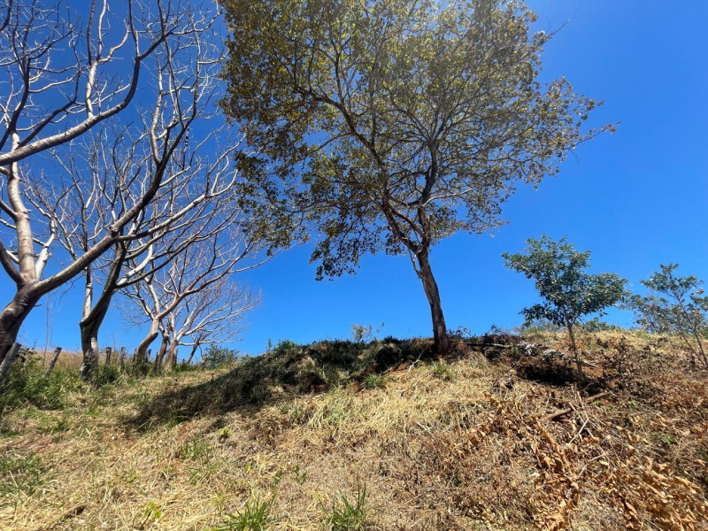 Discover Your Tranquil Haven Lot in La Florida Santa Cruz Guanacaste $75,000 photo 19