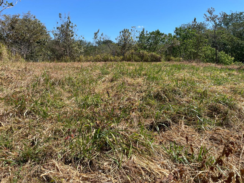 Discover Your Tranquil Haven Lot in La Florida Santa Cruz Guanacaste $75,000 photo 16