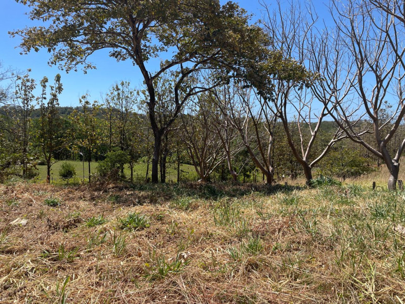 Discover Your Tranquil Haven Lot in La Florida Santa Cruz Guanacaste $75,000 photo 9