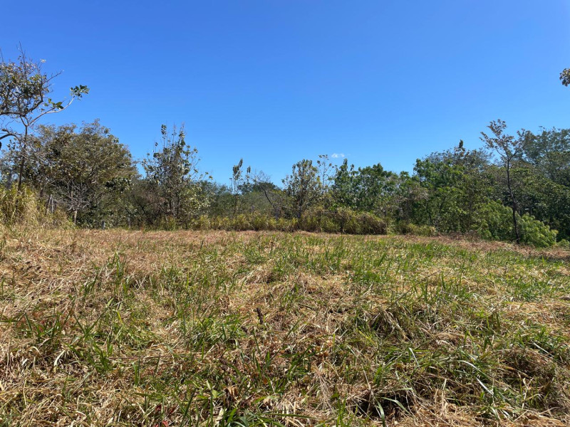 Discover Your Tranquil Haven Lot in La Florida Santa Cruz Guanacaste $75,000 photo 15