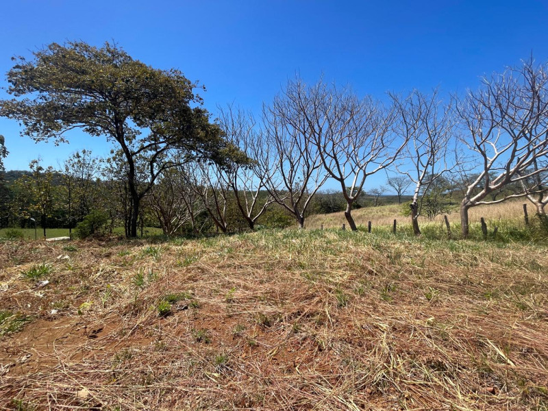 Discover Your Tranquil Haven Lot in La Florida Santa Cruz Guanacaste $75,000 photo 6