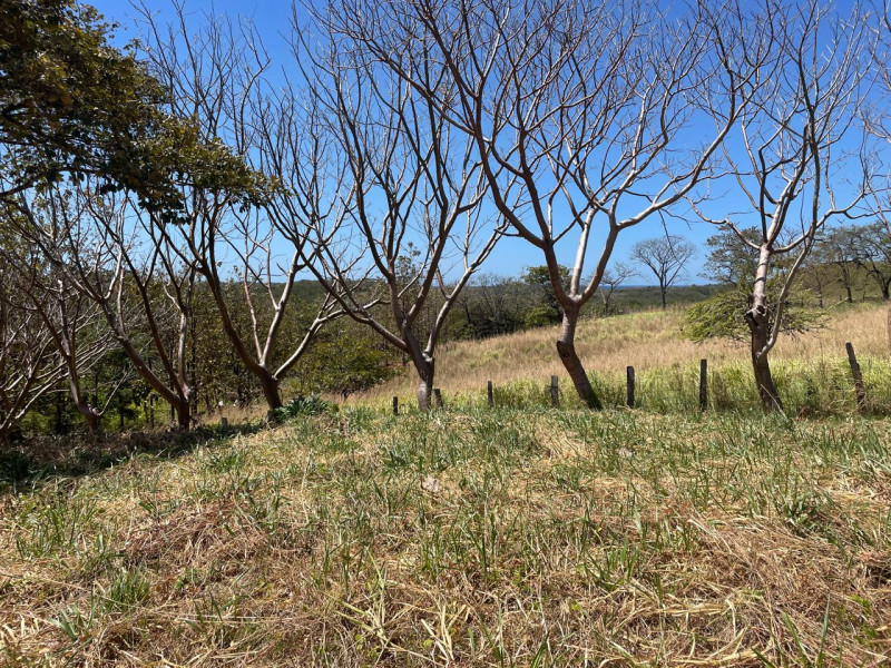 Discover Your Tranquil Haven Lot in La Florida Santa Cruz Guanacaste $75,000 photo 8