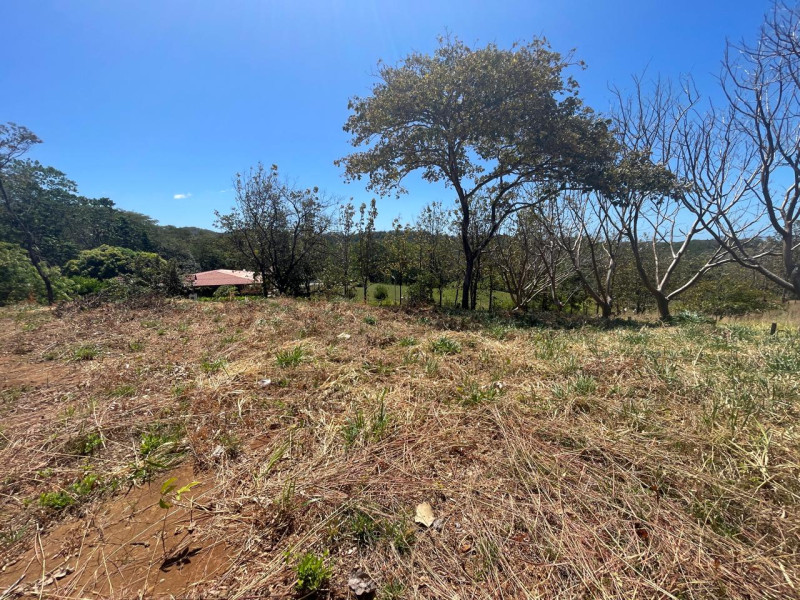 Discover Your Tranquil Haven Lot in La Florida Santa Cruz Guanacaste $75,000 photo 10
