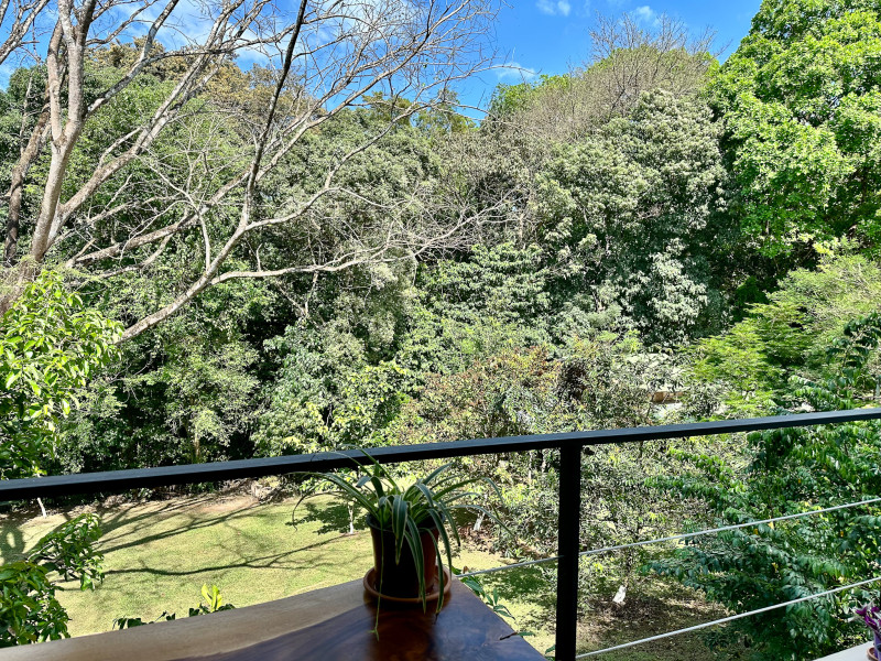 Finca Flo - Private Oasis in 6000m2 with 2 Dream Residences photo 17