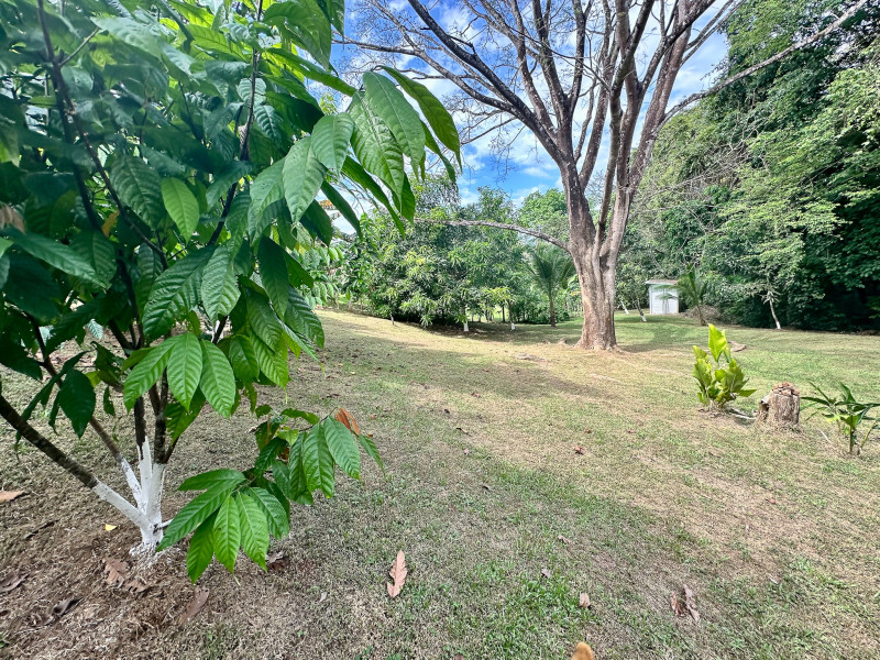 Finca Flo - Private Oasis in 6000m2 with 2 Dream Residences photo 20