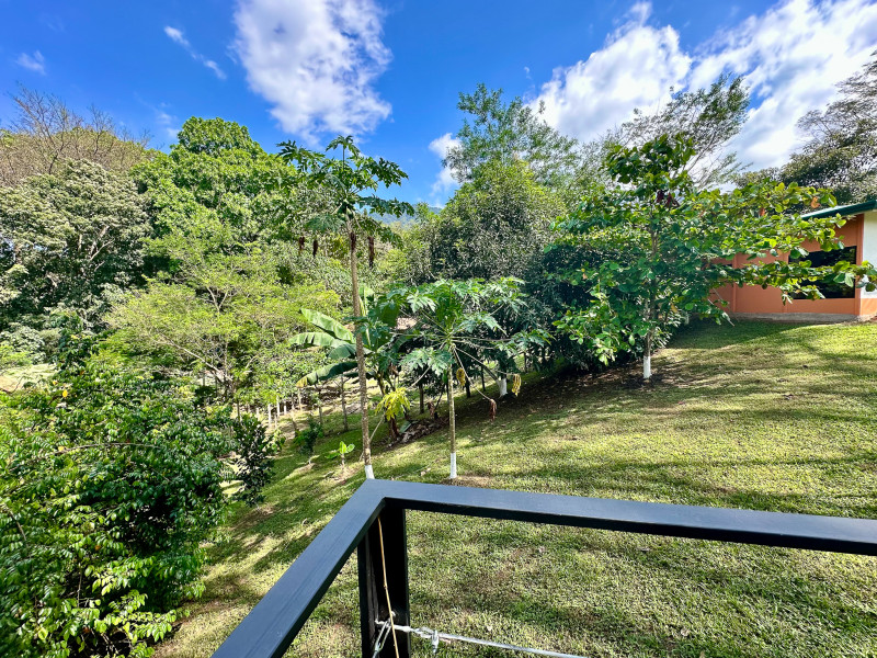 Finca Flo - Private Oasis in 6000m2 with 2 Dream Residences photo 18