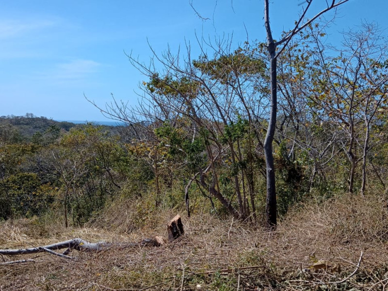 Lot C42 in Eco Development Playa Lagarto for Sale photo 7