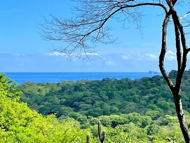 Lot C42 in Eco Development Playa Lagarto for Sale photo 12