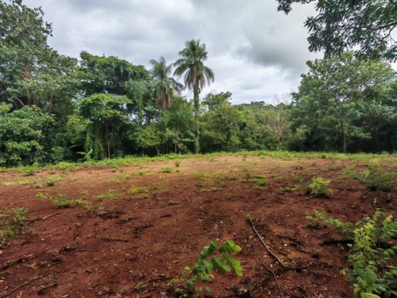 Lot C42 in Eco Development Playa Lagarto for Sale photo 10