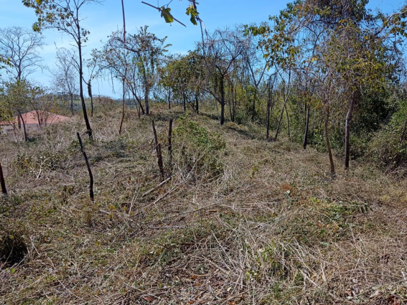 Lot C42 in Eco Development Playa Lagarto for Sale photo 8