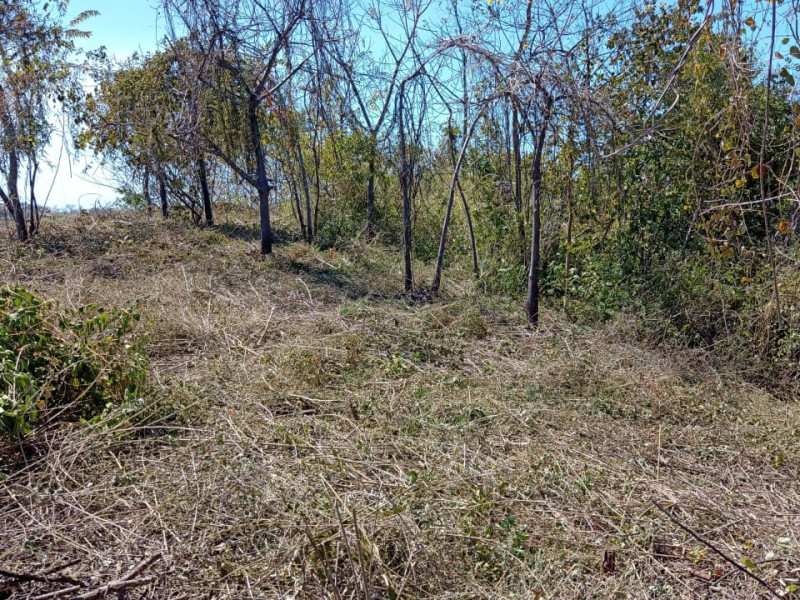 Lot C42 in Eco Development Playa Lagarto for Sale photo 6