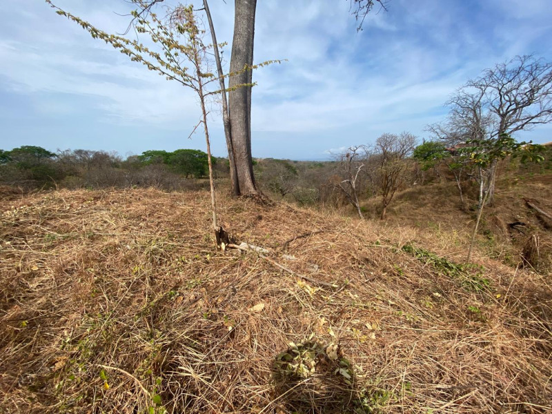 Lot C49 – Prime 5 000m² Property in Eco Development Playa Lagarto – Just $45 000! photo 6