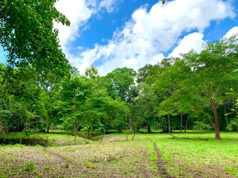 1000-m2-residential-lots-for-sale-near-playa-avellanas