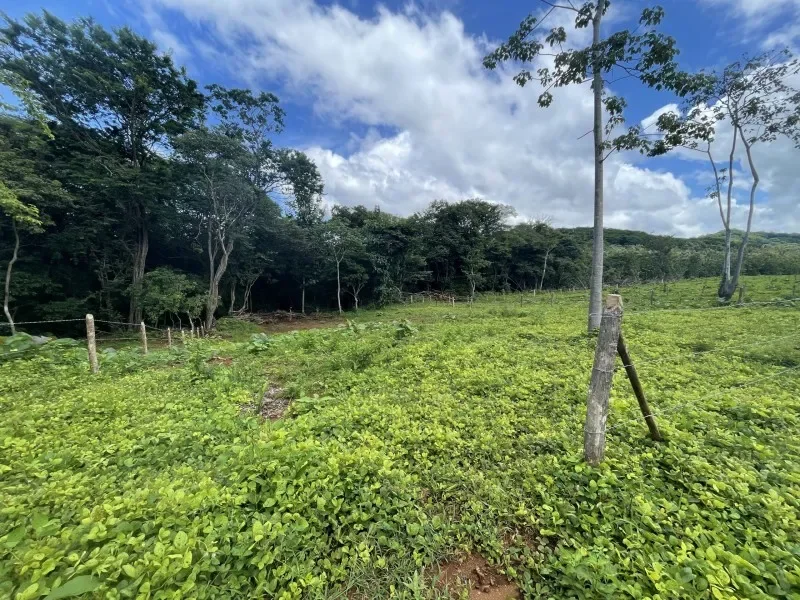 1000-m2-residential-lots-for-sale-near-playa-avellanas