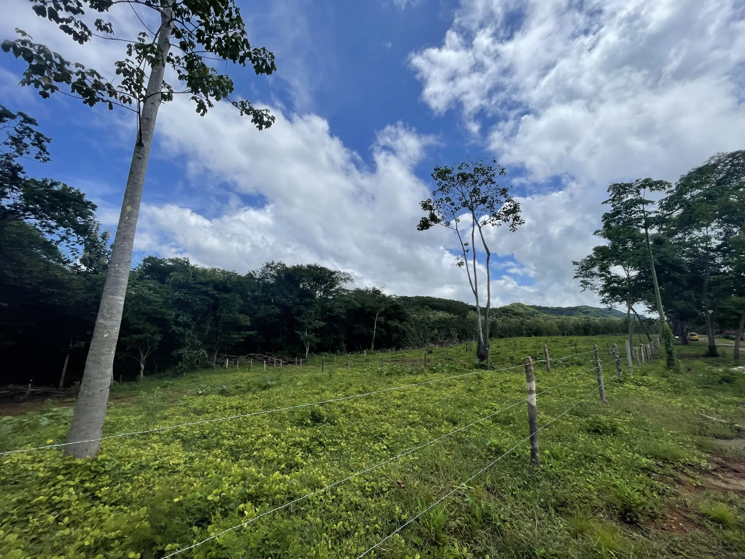 1000-m2-residential-lots-for-sale-near-playa-avellanas