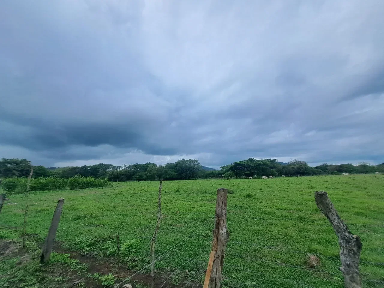 Plot of 1.5 HA in La Garita Vieja, Tamarindo