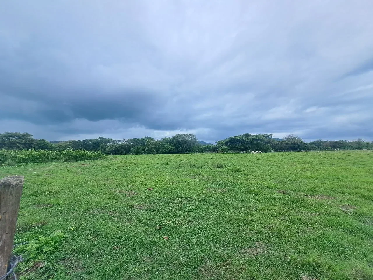 Plot of 1.5 HA in La Garita Vieja, Tamarindo