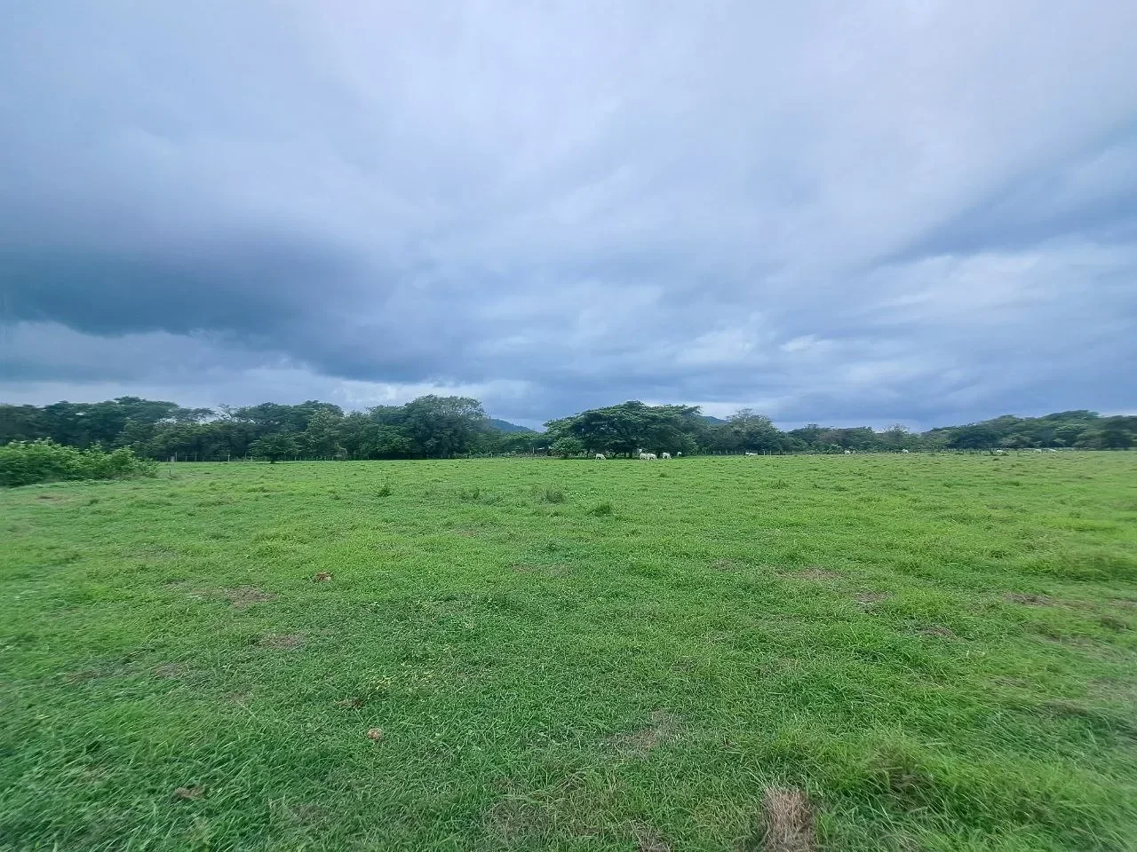 Plot of 1.5 HA in La Garita Vieja, Tamarindo photo 7
