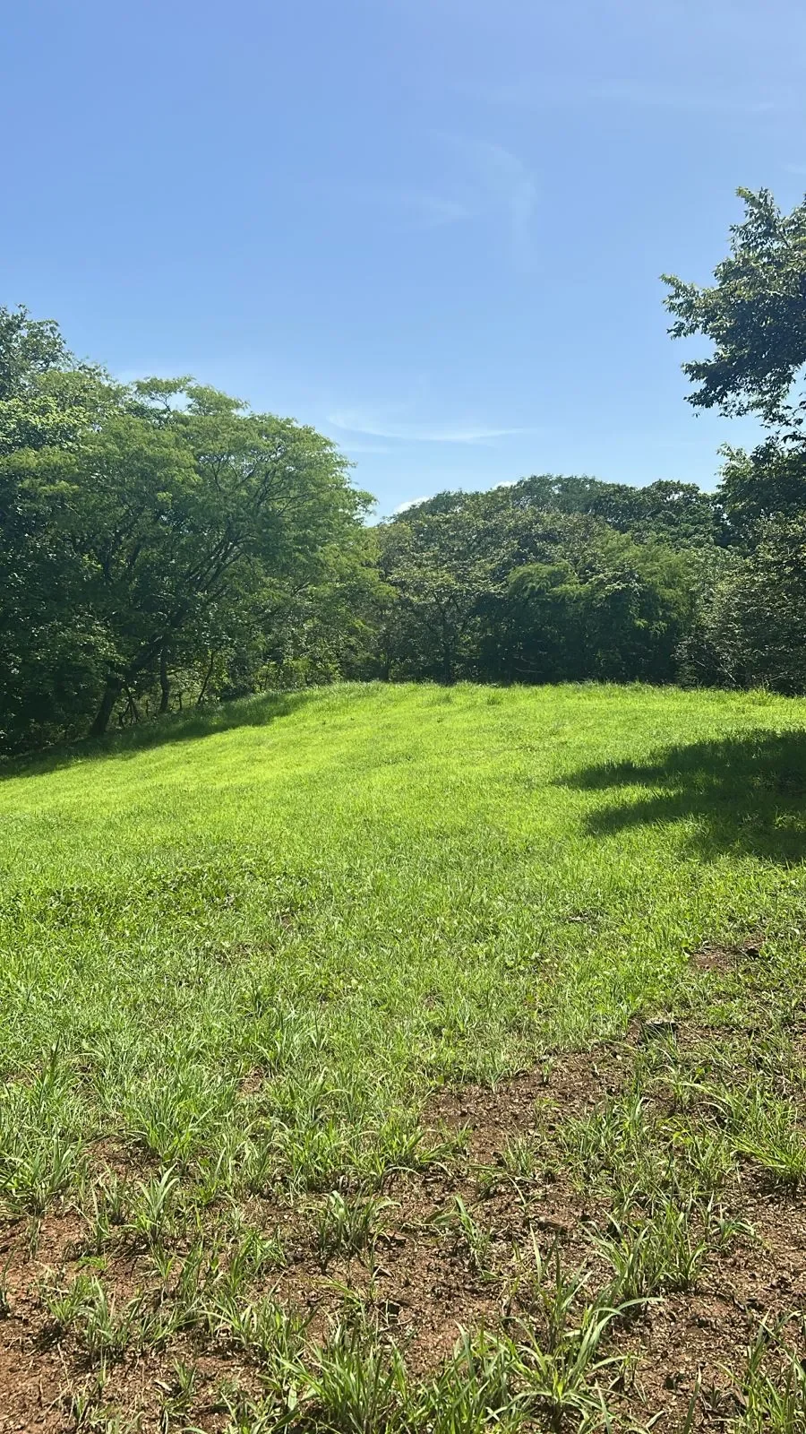 17-hectares-development-opportunity-near-la-meridiana-huacas-tamarindo