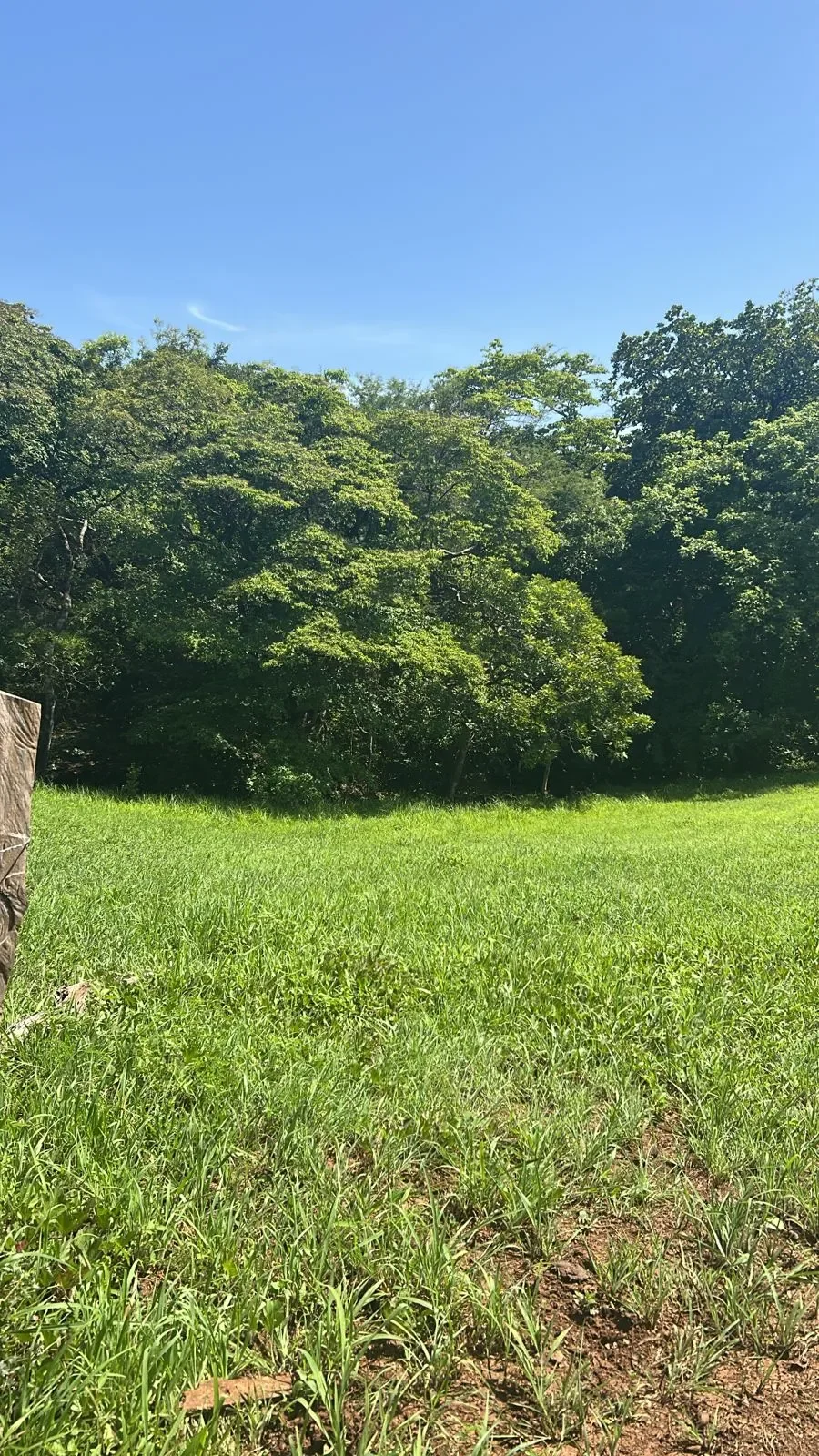 17-hectares-development-opportunity-near-la-meridiana-huacas-tamarindo