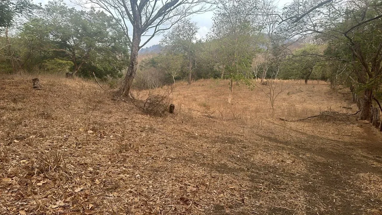 1.7 hectares development opportunity near La Meridiana, Huacas, Tamarindo