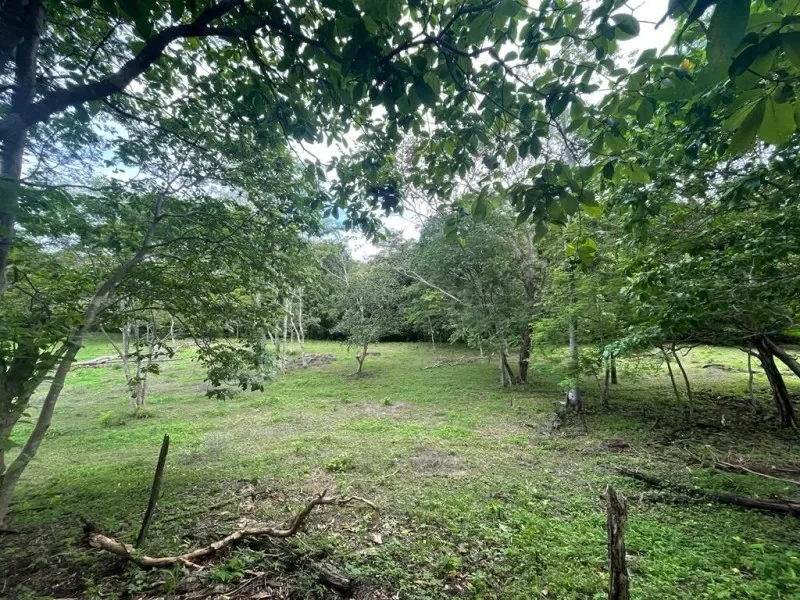 5000-m2-residential-lot-for-sale-in-a-very-nice-community-of-villareal