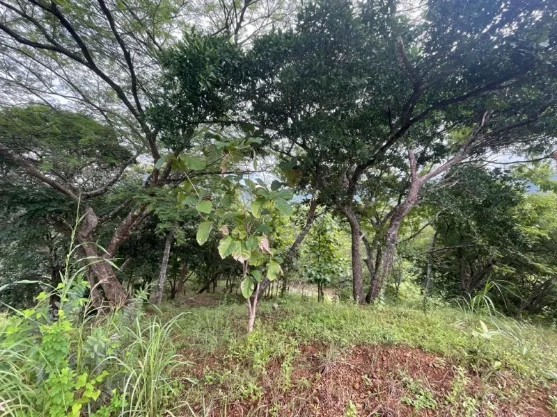 Lots in Soncuyo: 5000 to 7500m2 lots for sale in a safe community located 25 minutes to Tamarindo photo 10