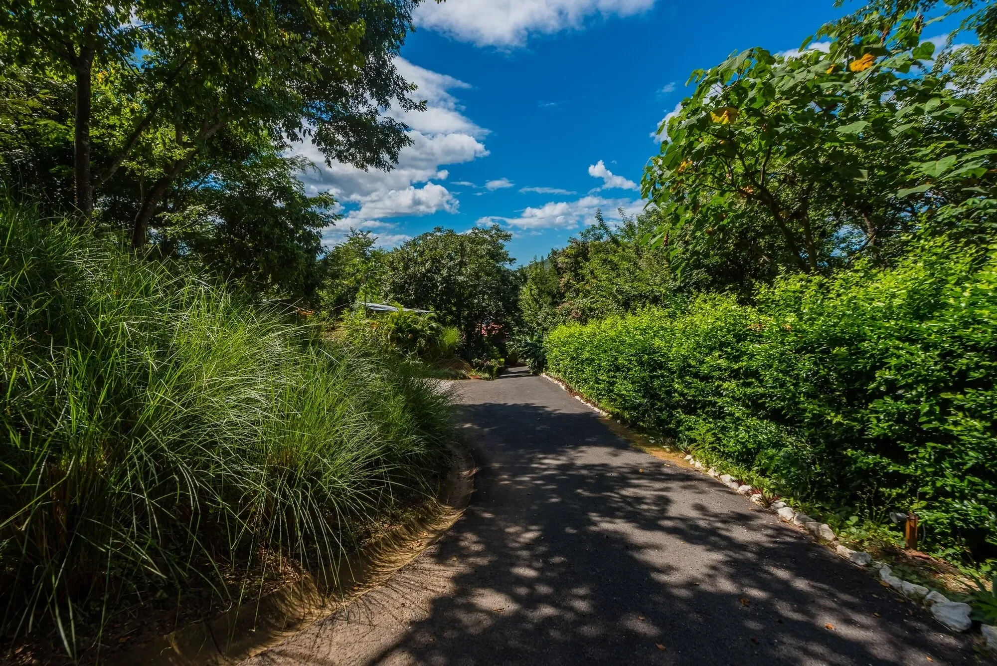 Casa Isani – Price Reduced! Negotiable – Multi-Unit Property in Rancho Villa Real, Tamarindo photo 31