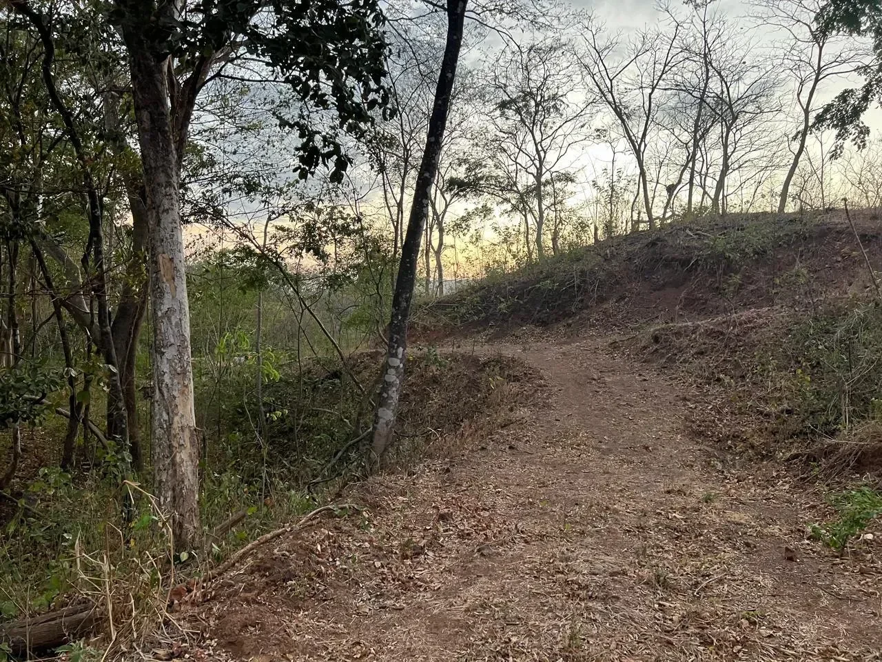 Amazing Lots of 5000 m2 for Sale in Matapalo, Guanacaste