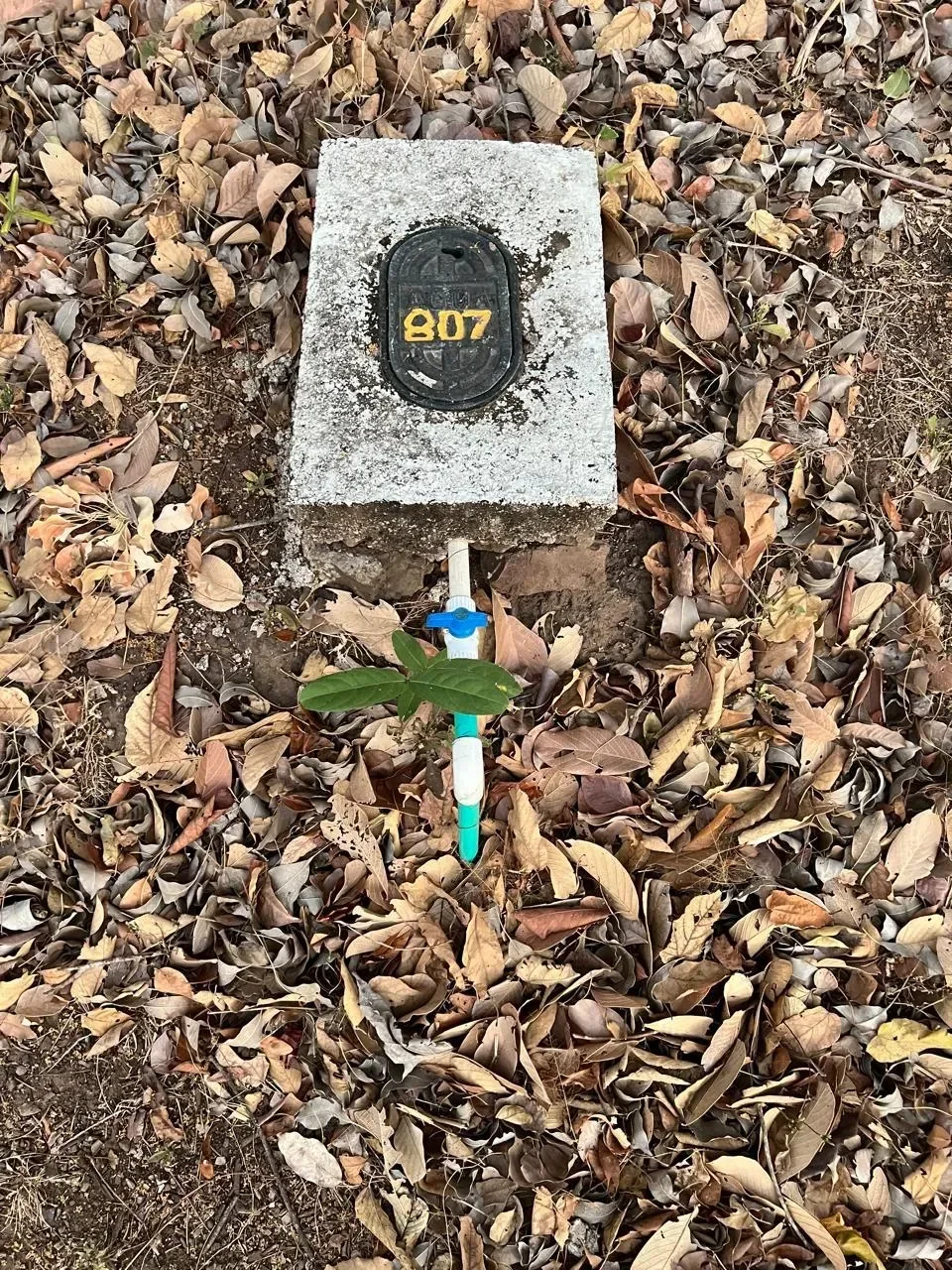 Amazing Lots of 5000 m2 for Sale in Matapalo, Guanacaste photo 6