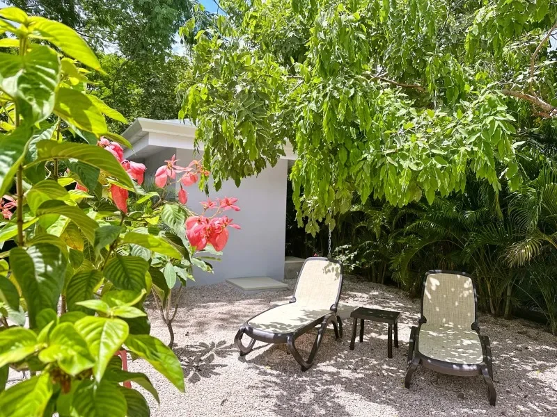 Casa Karibe unique 5 ensuite bedroom villa for sale in Residencia Norma Tamarindo photo 8