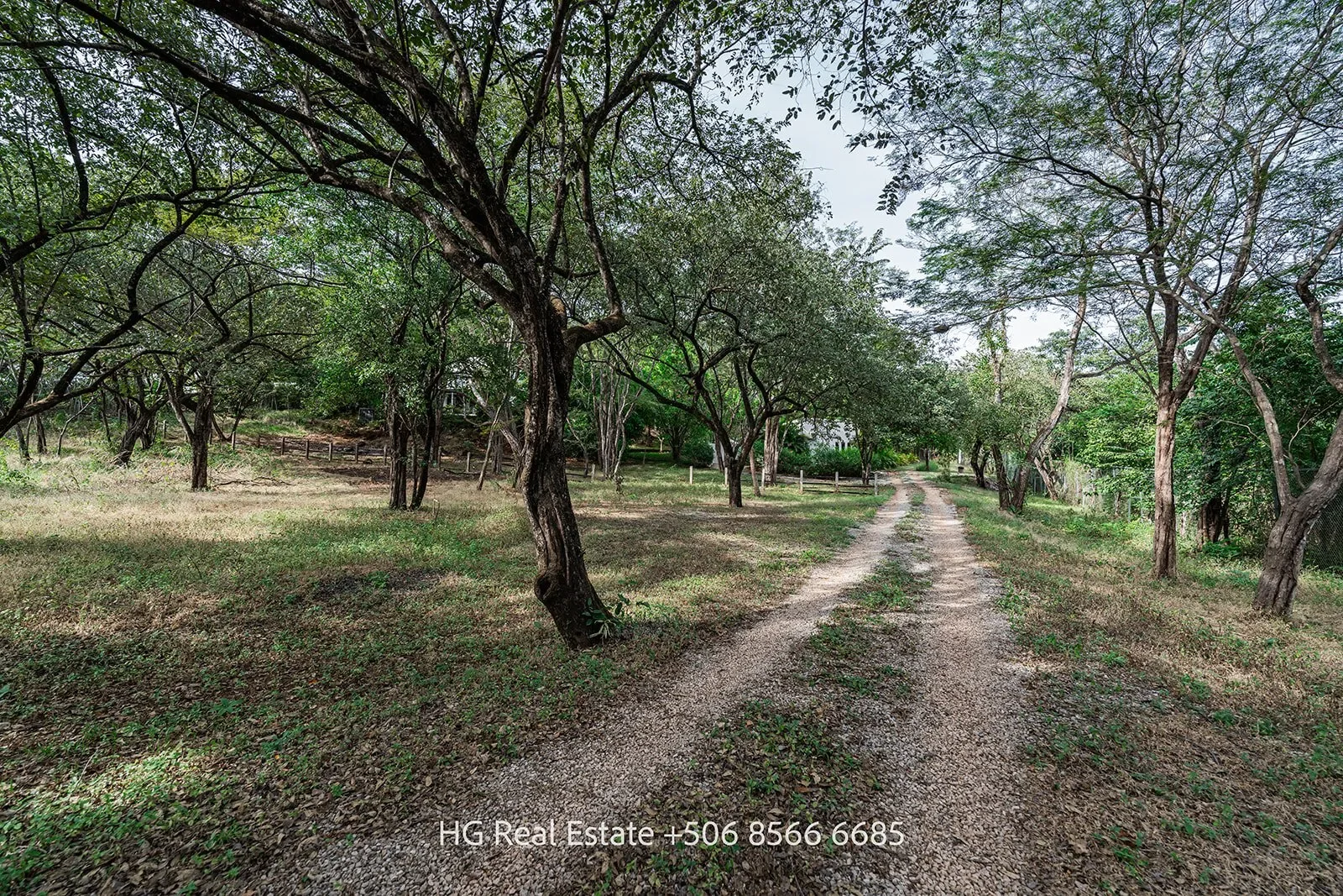 Casa Villa Blanca – 3 Bedroom House and Guest House Built Upon 5042m2 Lot in Villareal photo 56