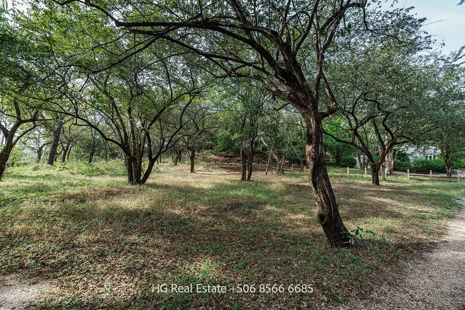 Casa Villa Blanca – 3 Bedroom House and Guest House Built Upon 5042m2 Lot in Villareal photo 57