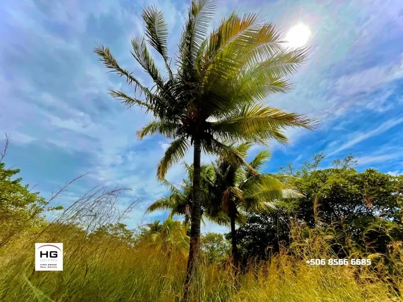 cute-little-house-on-a-3-hectares-land-near-bagaces-and-canas-2