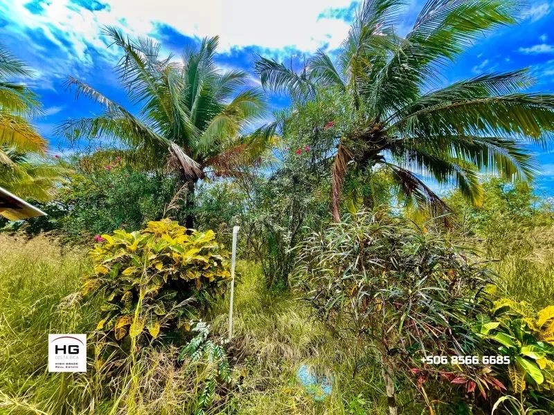 cute-little-house-on-a-3-hectares-land-near-bagaces-and-canas-2