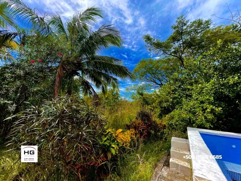 cute-little-house-on-a-3-hectares-land-near-bagaces-and-canas-2