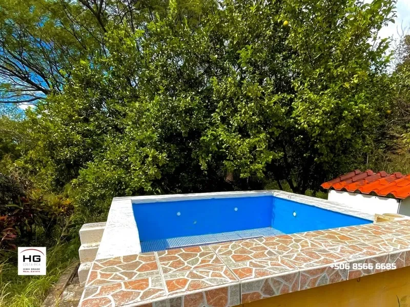 Cute little house on a huge 3 hectares land near Bagaces and Cañas photo 5