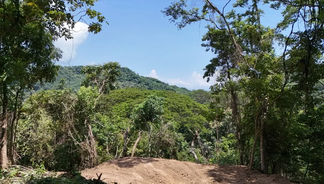 dream-lots-for-sale-in-pajaros-development-paquera-puntarenas
