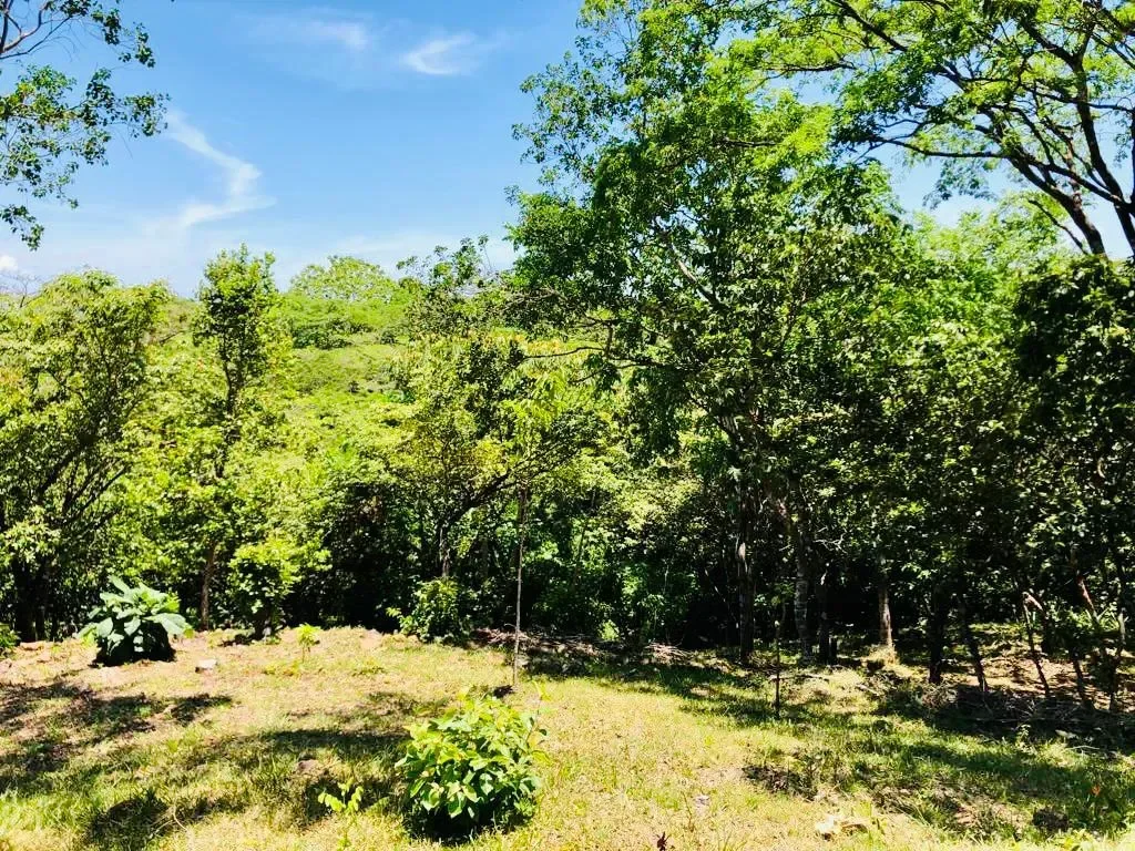 Eco Yoga Farm in Turrubares built upon 9640m2 land photo 20