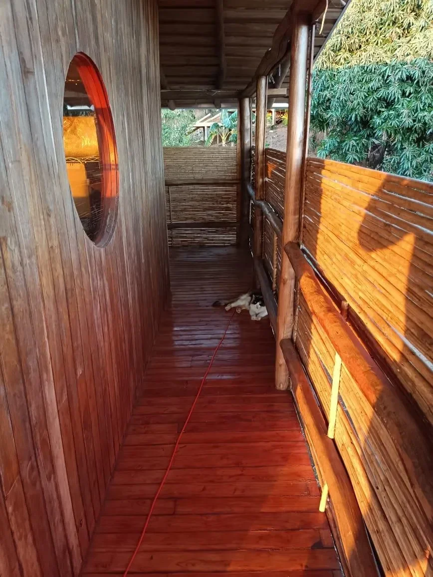 Finca Curcuma: Organic ocean view house built on a 2 hectares finca in San José de la Montaña photo 16