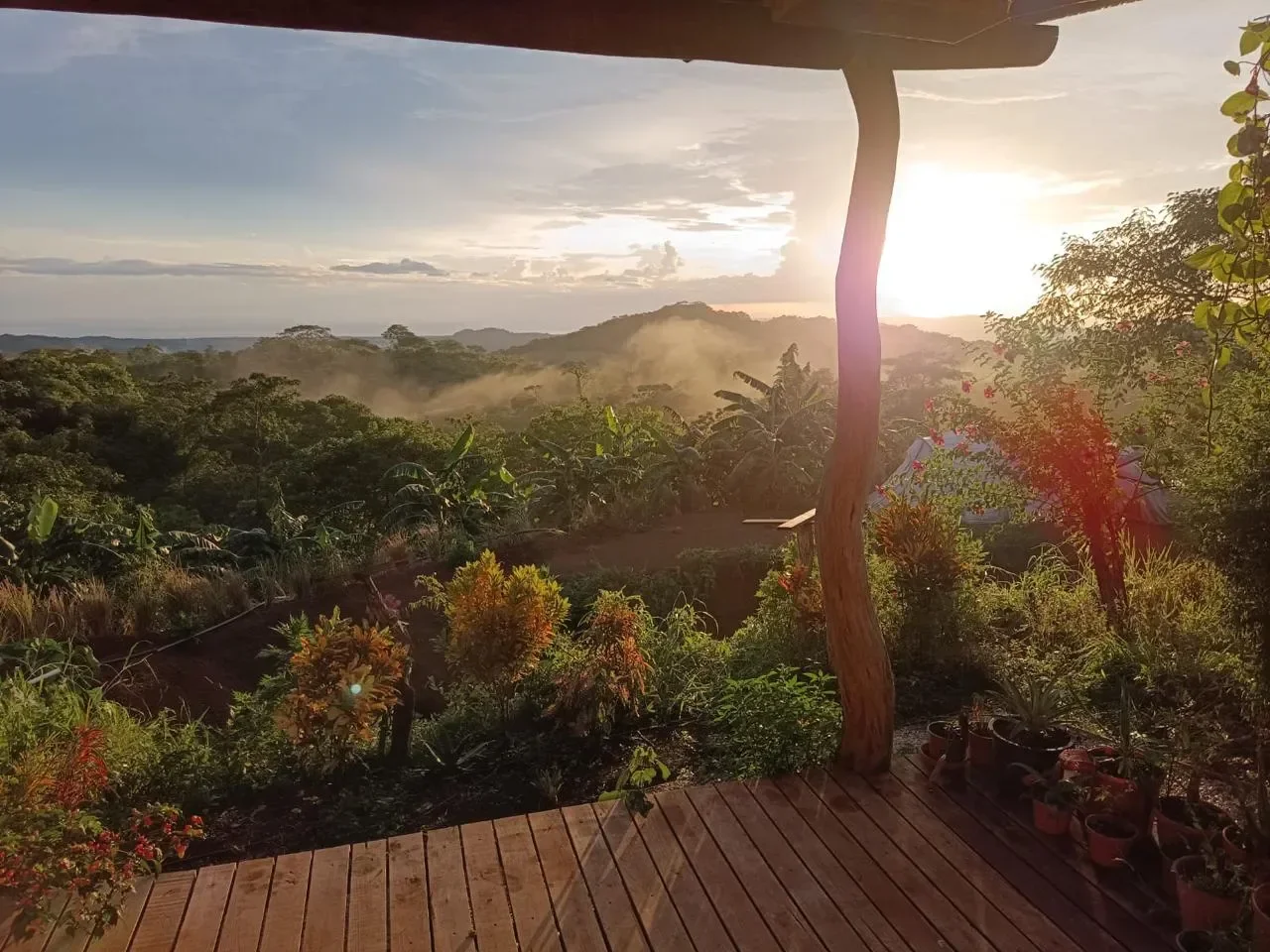 Finca Curcuma: Organic ocean view house built on a 2 hectares finca in San José de la Montaña photo 22