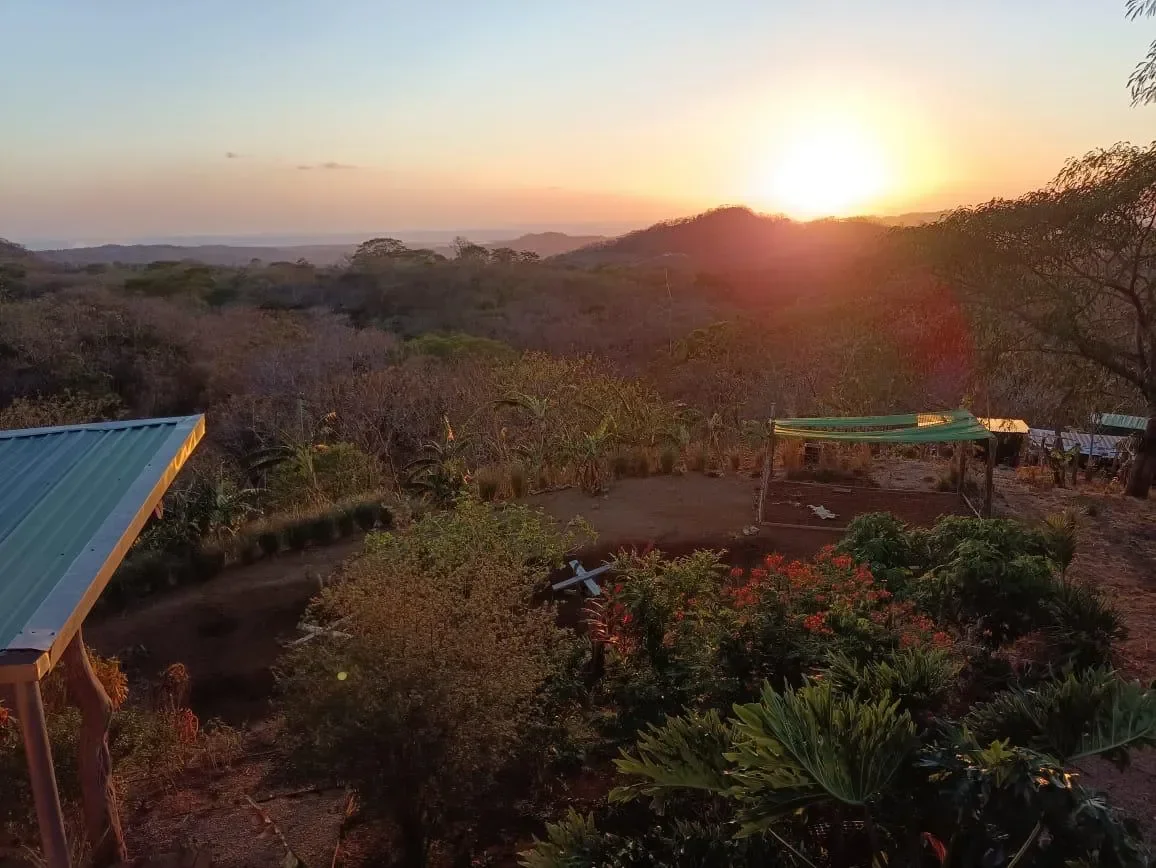 Finca Curcuma: Organic ocean view house built on a 2 hectares finca in San José de la Montaña photo 23