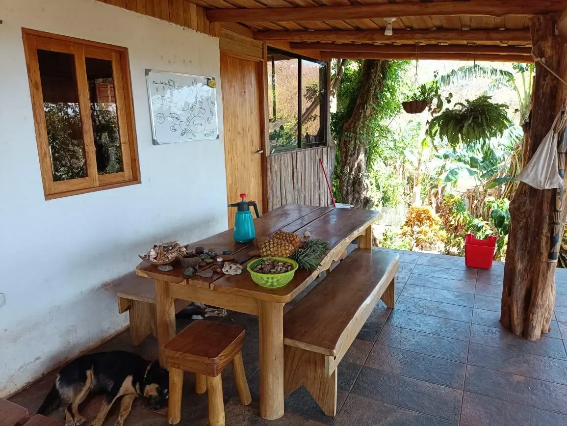 Finca Curcuma: Organic ocean view house built on a 2 hectares finca in San José de la Montaña photo 38